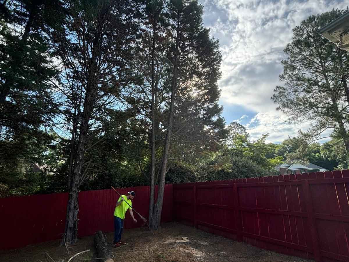 El Costeño Tree Service LLC